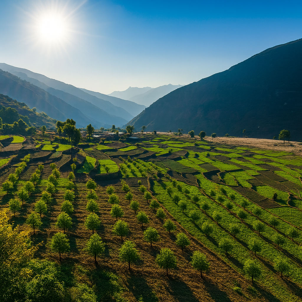Alberi forestali e mezzi di sussistenza sostenibili