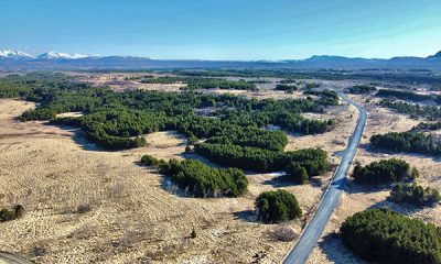 Rimboschimento-artico-nell'Islanda-orientale-web