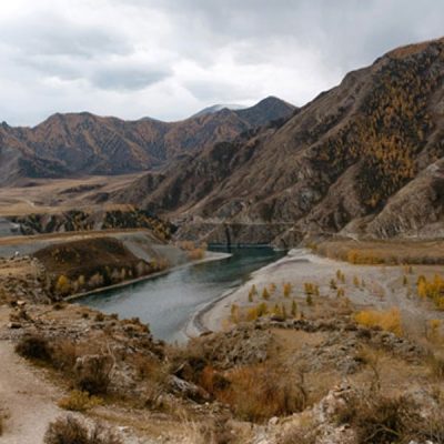 Sequestro-del-carbonio-tramite-rimboschimento-negli-insediamenti-siberiani-web